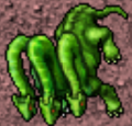 Thumbnail for version as of 23:18, 6 July 2026